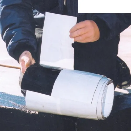 DELTA THENE BAND T100 10 M X 0,10