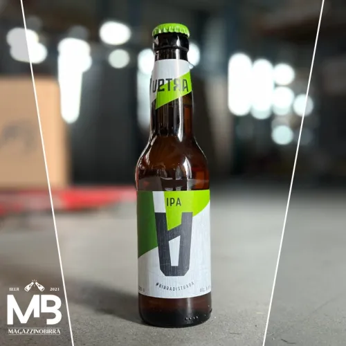 IPA - INDIA PALE ALE 6,6% ALC. (VETRO 0,33 L) (12)