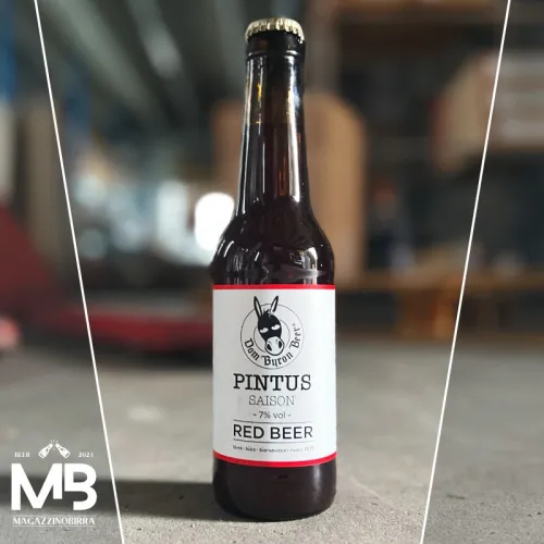 PINTUS BEER RED SAISON - 7% VOL (VETRO 0,33 L)...