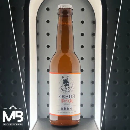 TROPICAL PILS - 5% VOL (VETRO 33 CL)